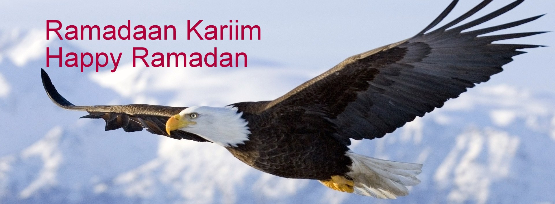 Ramadaan Kariim (Welcoming Ramadan)